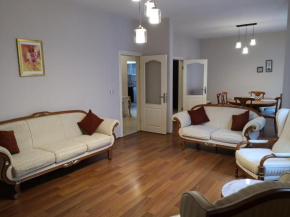 A Chic, classic, family-friendly apt. in central Ankara, Turkey